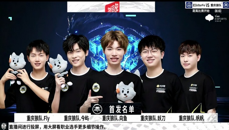 公布的