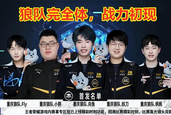 与政府合作