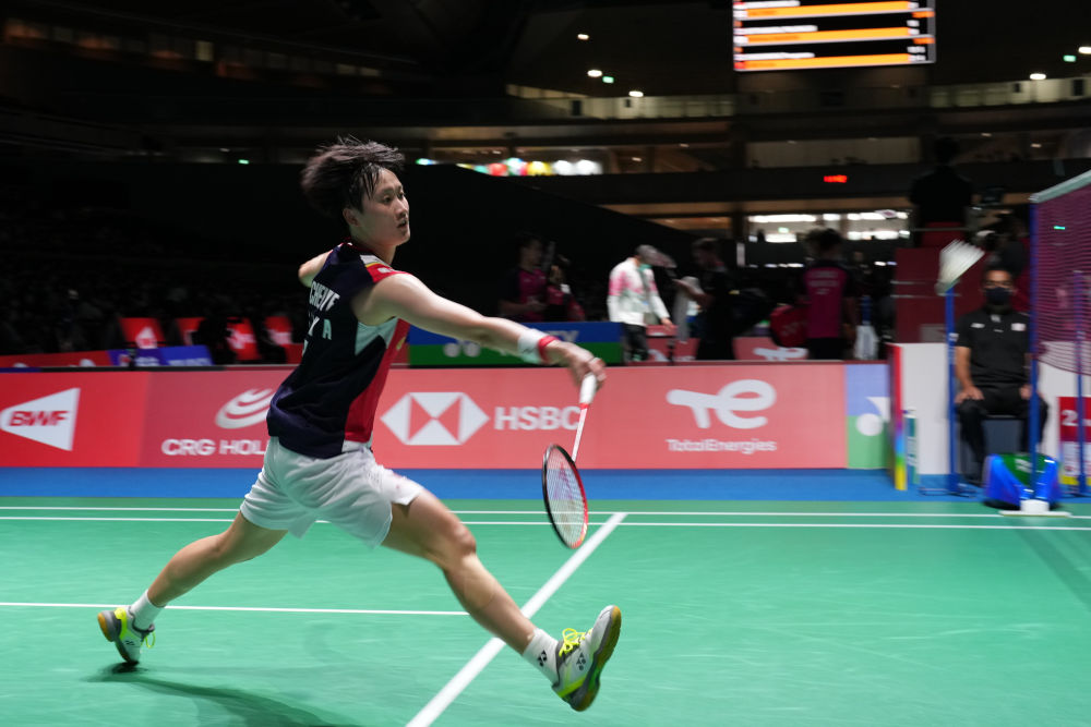 即便灰熊试 即便灰熊试