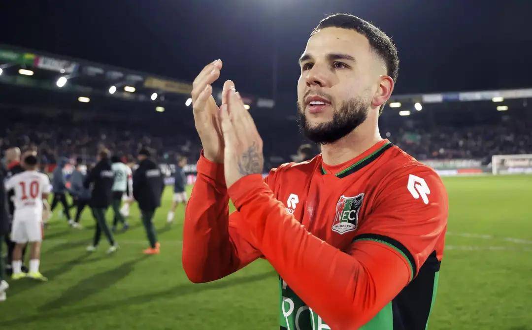 形成了广泛 形成了广泛